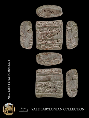 Artifact photograph