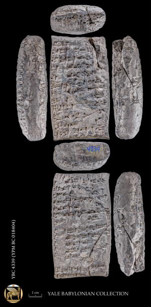 Artifact photograph