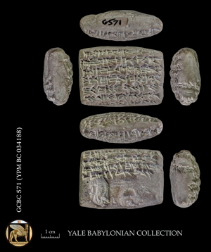 Artifact photograph