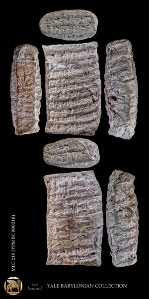 Artifact photograph