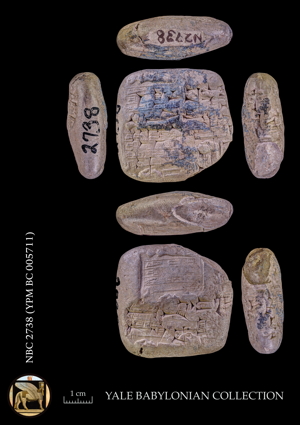 Artifact photograph