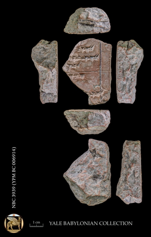 Artifact photograph
