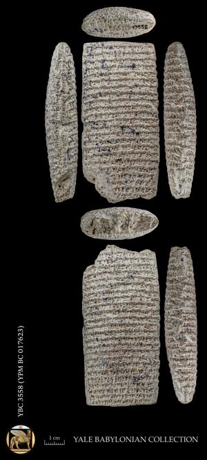 Artifact photograph