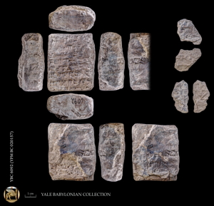 Artifact photograph