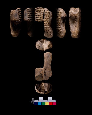 Artifact photograph