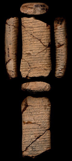 Photo (detail)