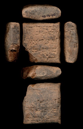 Photo (detail)