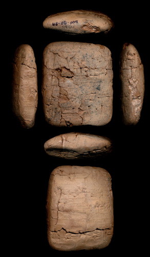 Photo (detail)