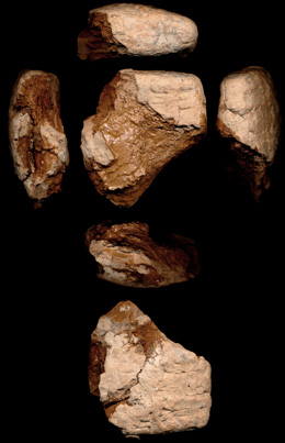 Photo (detail)
