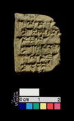 Artifact photograph
