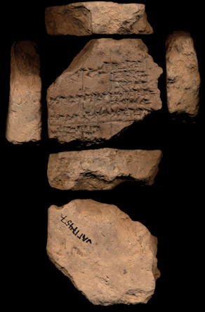 Artifact photograph