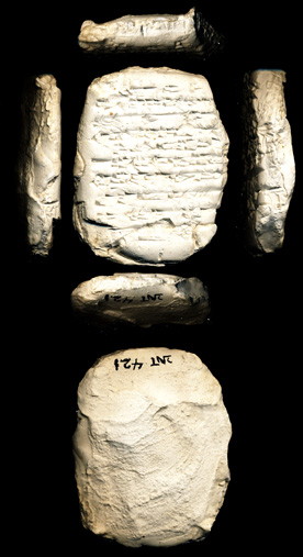 Photo (detail)
