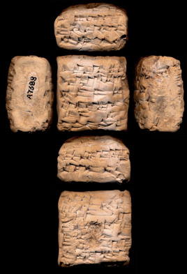 Artifact photograph