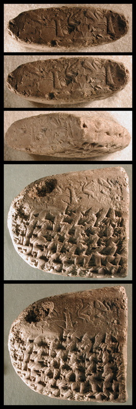 Photo (seal impression)