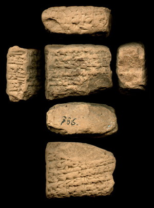 Artifact photograph