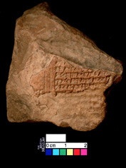 Artifact photograph