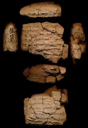 Artifact photograph