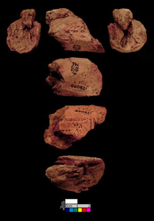 Artifact photograph