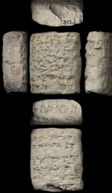 Artifact photograph