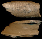 Photo (envelope)