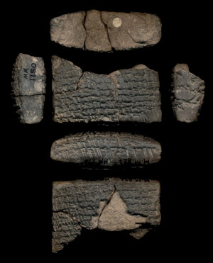 Artifact photograph