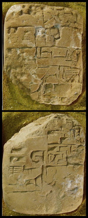 Photo (detail)