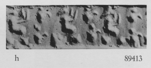Artifact photograph