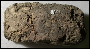 Photo (detail)