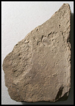 Photo (detail)