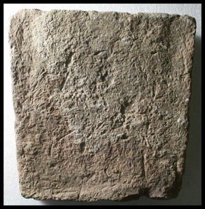 Photo (detail)