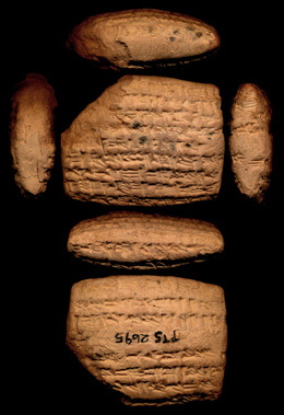 Artifact photograph