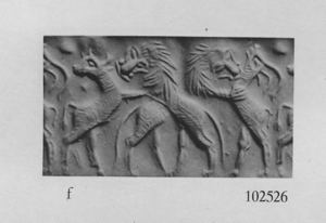 Artifact photograph