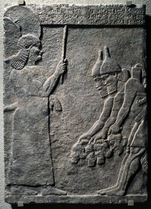 Artifact photograph