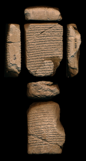 Artifact photograph