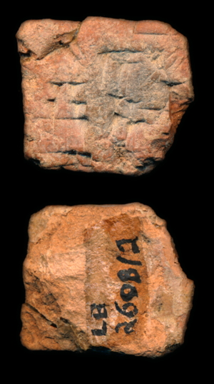 Artifact photograph