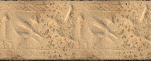 Artifact photograph